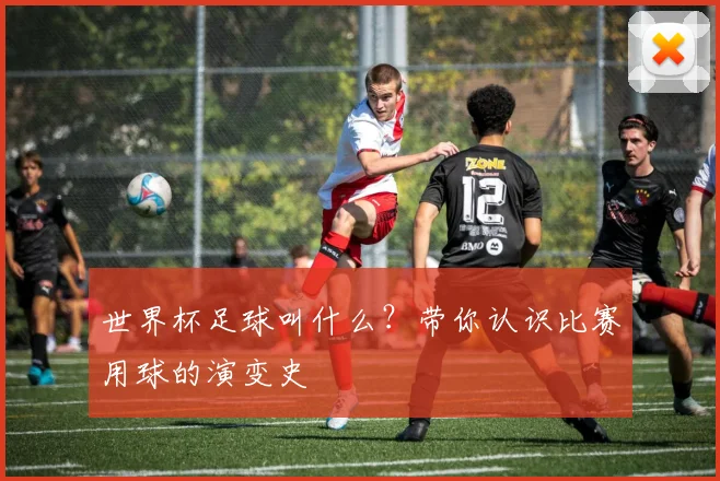 世界杯足球叫什么？带你认识比赛用球的演变史