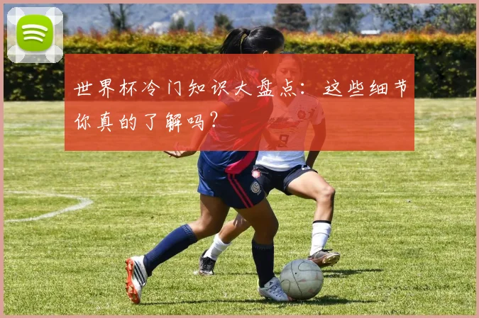 世界杯冷门知识大盘点:这些细节你真的了解吗?