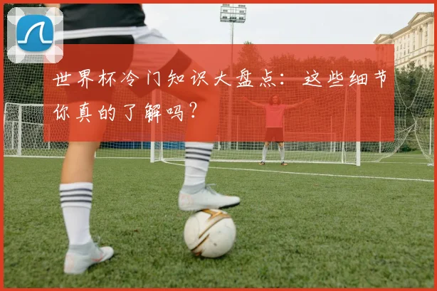 世界杯冷门知识大盘点:这些细节你真的了解吗?