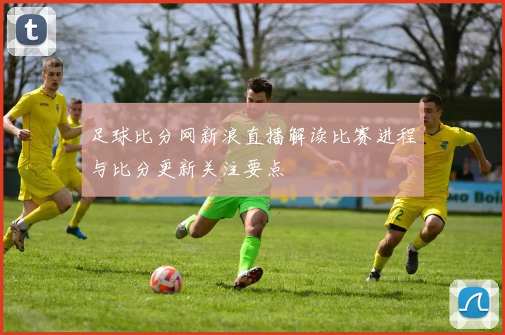 足球比分网新浪直播解读比赛进程与比分更新关注要点