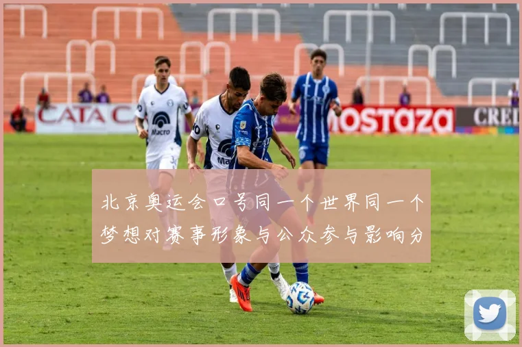 北京奥运会口号同一个世界同一个梦想对赛事形象与公众参与影响分析